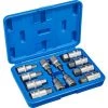 TECTAKE Coffret à Outils 12 Douilles Mâles Pour Clé à Cliquet En Acier Chrome Vanadium - Bleu 2 TECTAKE Coffret à Outils 12 Douilles Mâles Pour Clé à Cliquet En Acier Chrome Vanadium - Bleu -Clés et douilles Soldes 7514586 1